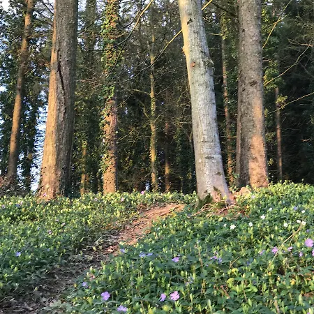 Chateau De Villers-bocage *