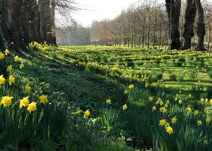 Chateau De Villers-bocage Landhuis Villers-Bocage (Calvados)