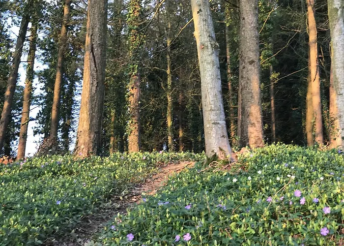 Chateau De Villers-bocage *