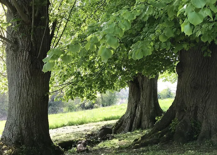 Chateau De Villers-bocage Landhuis Villers-Bocage (Calvados)