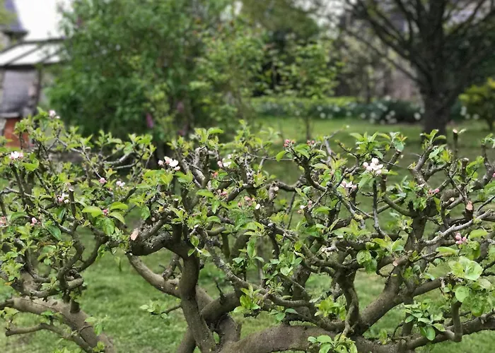 Landhuis Chateau De Villers-bocage